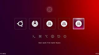 MultiBoot Windows macOS Ubuntu amp PhoenixOS with Clover UEFI [upl. by Nugesulo9]