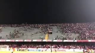 Pelea entre aficionados de tigres y veracruz [upl. by Pavyer]