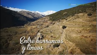 Entre barrancos y tinaos Comarca de La Alpujarra Granada [upl. by Ellerred769]