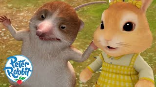 OfficialPeterRabbit  The Shrew Saves Cottontail But how 🤔 💛  Cartoons for Kids [upl. by Llirpa976]