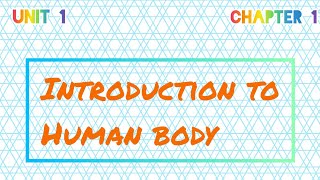 Unit 1  Chp 1 Introduction to Human Body pharmacy pharmacist bpharm1stsemester [upl. by Ahsinal]