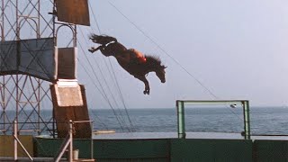 1959 Atlantic City  Showtime on the Steel Pier amp Horse Diving [upl. by Odnala344]