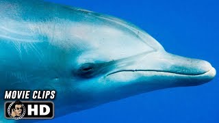 DOLPHIN REEF Clips  Trailer 2020 Disneynature [upl. by Rider]