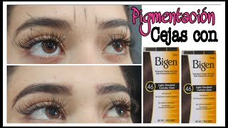 CEJAS Perfectas con BIGEN  Pigmentación de Cejas [upl. by Gittle109]