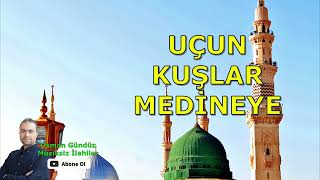 Uçun Kuşlar Medineye Bedirde mi Uhudda mı ilahi [upl. by Ycniuqal363]