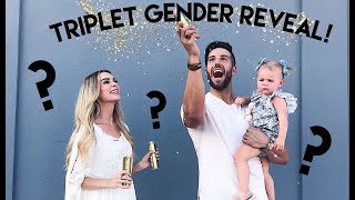 TRIPLET GENDER REVEAL [upl. by Ellebanna]