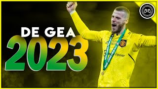 David de Gea 202223 ● The Savior ● Incredible Saves amp Passes Sow  HD [upl. by Luba]