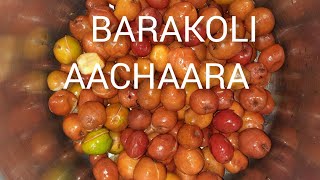 BARAKOLI AACHAARA BARAKOLI RECIPE lovetocookformyfamily bharatimishraskitchen4579 [upl. by Nohsar]