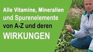 Alle wichtigen Vitamine Mineralien und Spurenelemente von AZ und deren Wirkungen im Überblick [upl. by Safko]