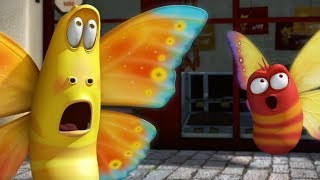 LARVA  THE BUTTERFLY  Cartoons For Children  LARVA Full Episodes [upl. by Albert]