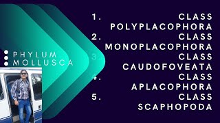 CLASS POLYPLACOPHORA [upl. by Ivad]