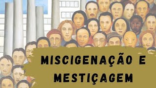 Miscigenação e mestiçagem [upl. by Nas]