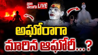 LIVE🔴అఘోరాగా మారిన ఆఘోరీ  Lady Aghori naga Sadhu  Aghori Live  Tolivelugu [upl. by Marisa]