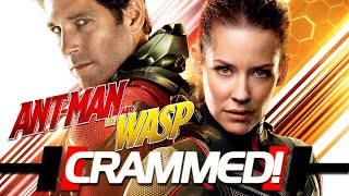 AntMan and The Wasp Quantumania  Movie Review [upl. by Nilats]