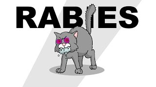 Rabies  Plain and Simple [upl. by Daphne]