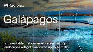 Galápagos  Radiolab Podcast [upl. by Adler]