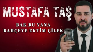 Mustafa Taş  Bak Bu Yana  Bahçeye Ektim Çilek [upl. by Adnesor606]