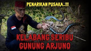 PENARIKAN PUSAKA KELABANG SERIBU GUNUNG ARJUNA [upl. by Eittocs256]