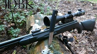 Gamo CFX 177 the perfect entry air rifle [upl. by Swayder861]