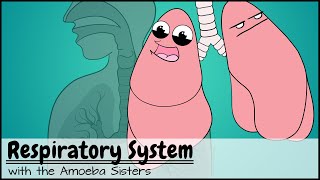 Respiratory System [upl. by Dahl]