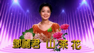 山茶花Camellia Flower鄧麗君 Teresa Teng 懷念鄧麗君經典好聽歌曲請全螢幕畫質1080p聆聽觀賞 [upl. by Sophey208]