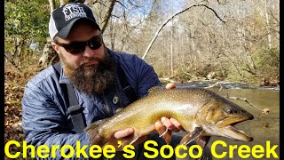 Trout Fishing Cherokees Soco Creek [upl. by Anavas]