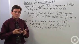 Human Genome Project [upl. by Doretta]