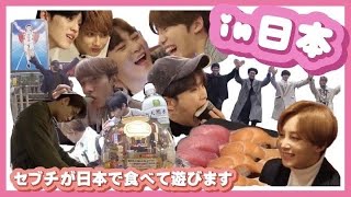 【セブチ】セブチin日本 日本語字幕 SEVENTEEN 세븐틴 [upl. by Mckinney]