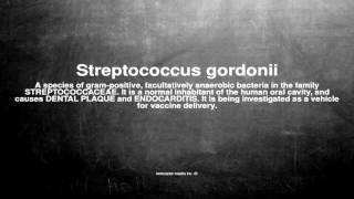 Medical vocabulary What does Streptococcus gordonii mean [upl. by Sedruol586]