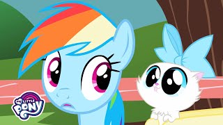 Songs  The Pet Song Music Video  MLP Songs MusicMonday [upl. by Diannne]