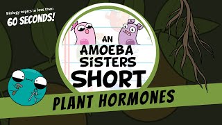 Plant Hormones  Amoeba Sisters Shorts [upl. by Coe]