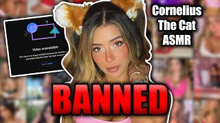 CorneliusTheCat ASMR Banned from YouTube for Sexual Content  ASMR DRAMA [upl. by Tj]