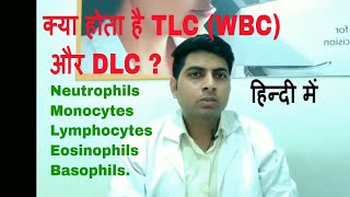 TLC or WBC and DLC test in hindi [upl. by Kondon]