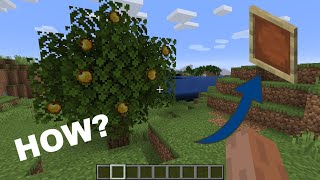 How to add invisible item frames in minecraft [upl. by Einiffit]