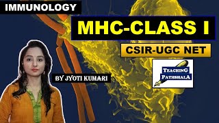 MHC CLASS 1  MAJOR HISTOCOMPATIBILITY COMPLEX  CSIR NET [upl. by Marl]