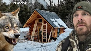 WOLVES Loft Floor New Stairs EP51 Log Cabin Build on OffGrid Homestead [upl. by Aylad783]