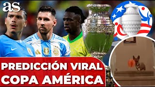 PERRO VIRAL predice el CAMPEÓN de la COPA AMÉRICA [upl. by Ecirtael]