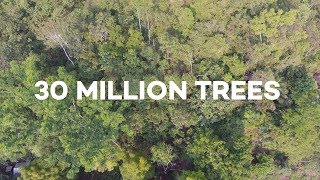 Ecosia users have just planted 30 MILLION trees [upl. by Aisatsanna]