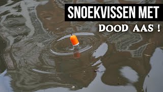 Vissen met DOOD AAS op Snoek  DEEL 1  DWFishingteam [upl. by Assilac]