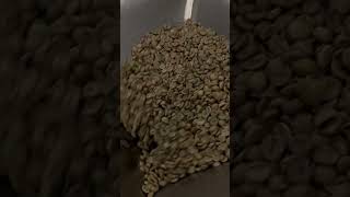 Green coffee roast giesen coffeeroaster [upl. by Kasper]