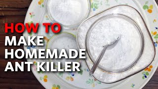 How To Make Homemade Ant Killer  Apartment Therapy [upl. by Korie150]