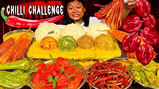 Extremely Spicy Chillies Challenge  Eating Different Types Of Chilly Curry  Spicy Food Mukbang [upl. by Jeffy937]