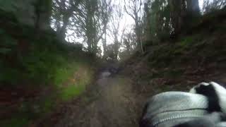 MCC Exeter trial 2024 Tillerton Steep Trifield hooligan [upl. by Akerdal262]