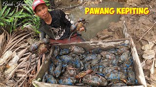 SURGA KEPITING BAKAU ADA DI PULAU INI [upl. by Leahcimnaes739]