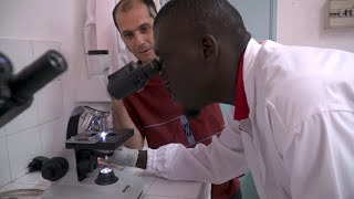 Ivory Coast lab aims to rid Africa of the sleeping sickness  AFP [upl. by Doughman]