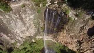 Purling Brook Falls  Springbrook QLD Australia [upl. by Niret983]