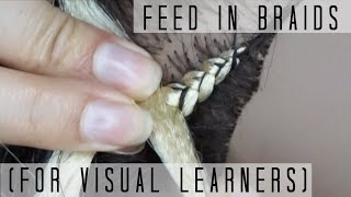 How To Do Feed In Braids  For Visual Learners [upl. by Opiak]