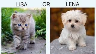 LISA OR LENA animal edition [upl. by Ycat]