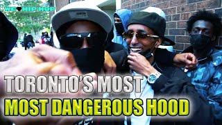 BASTO BOYZ IN REXDALE REACTION [upl. by Tanya]