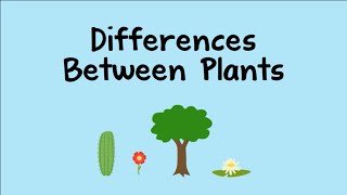 Differences Between Plants [upl. by Schechter]